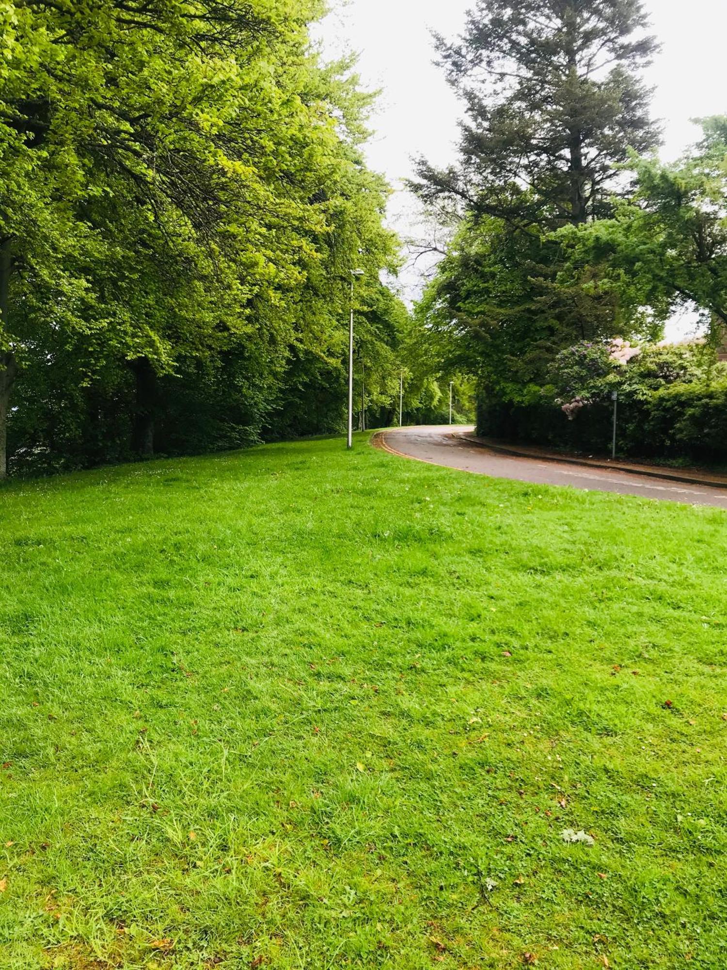City Central Quiet Garden Apartment With Free Parking Inverness Luaran gambar