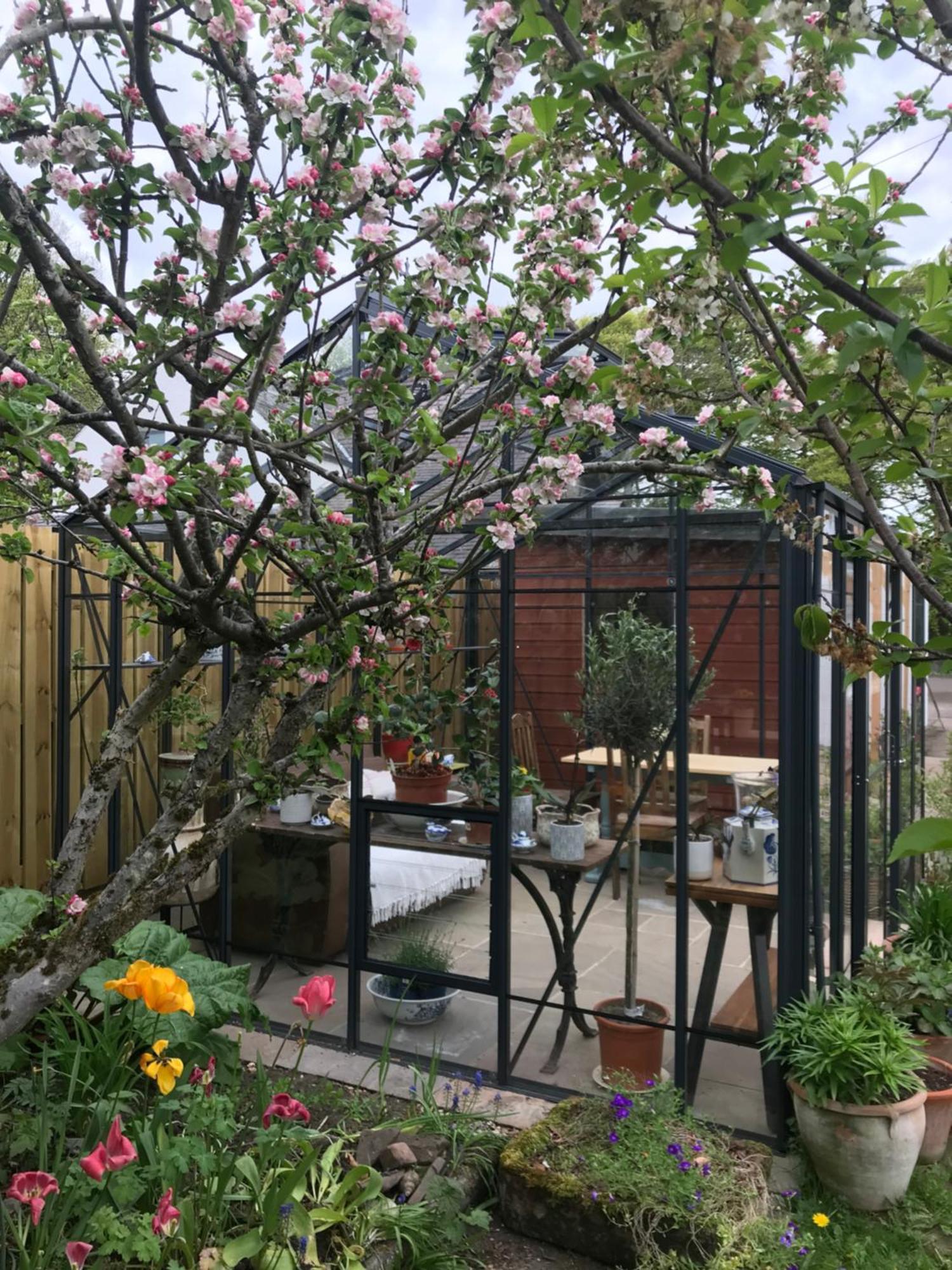 City Central Quiet Garden Apartment With Free Parking Inverness Luaran gambar